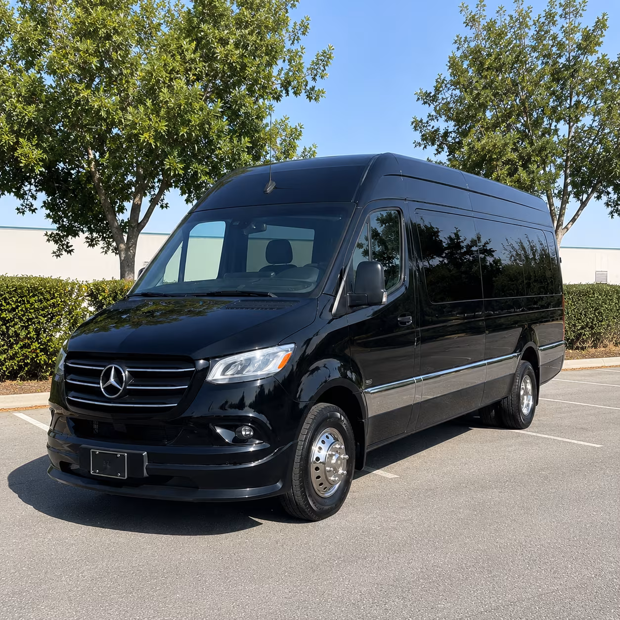 davis sprinter van with driver
